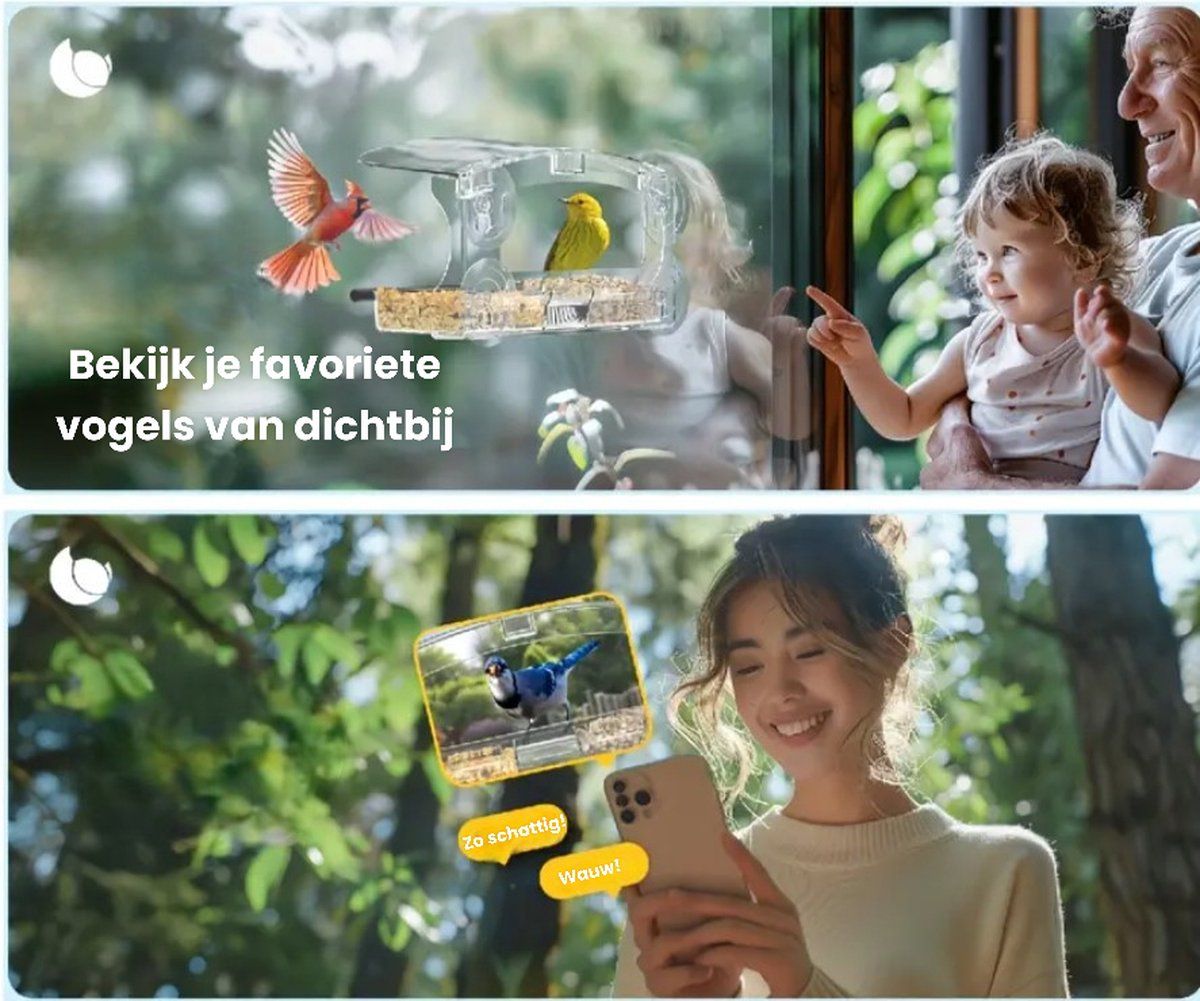 Window Birdhouse, Transparent, With Suction Cups, Feeding Station โ image 4