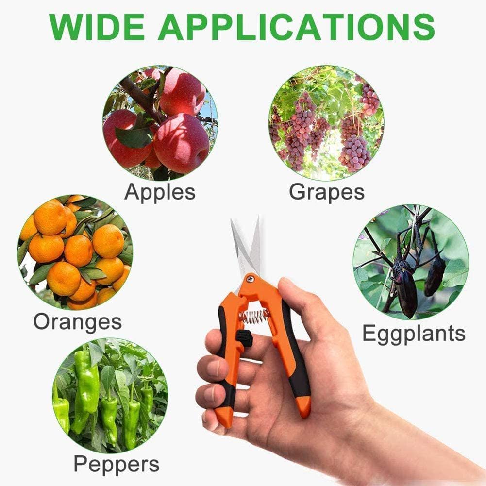 Blade Pruning Cut Shrub Tool Plant Horticulture Leaf Trimmer Shear Scissor Pruner Garden Fruit Flower Orchard — image 5