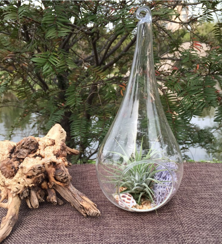 4 Pack of Hanging Clear Glass Tealight Candle Holder Tear Drop Pear Shape - 12cm High - Terrarium Plant Mini Garden Holder Decor โ image 5