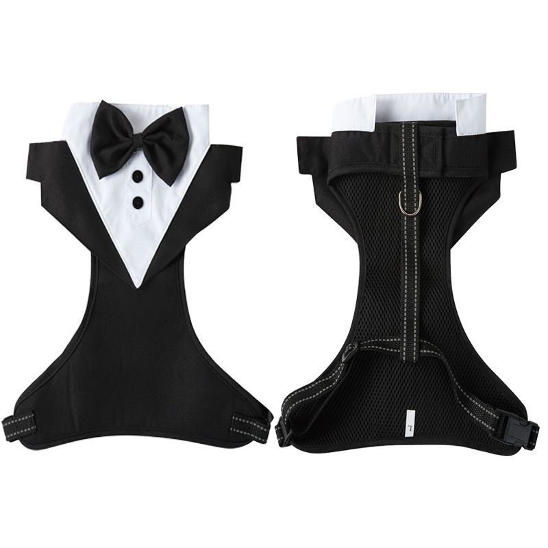 Dog Harness for Small Dogs — image 4
