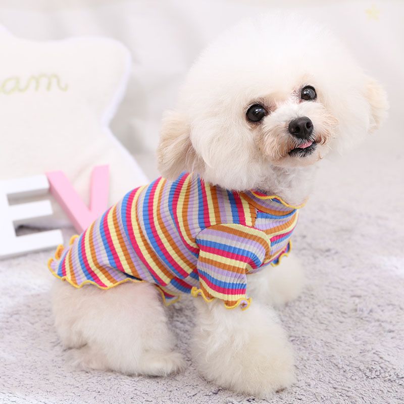 Cotton Knitted Pet Pullover Two Legs Clothes for Dogs Rainbow Strip XL