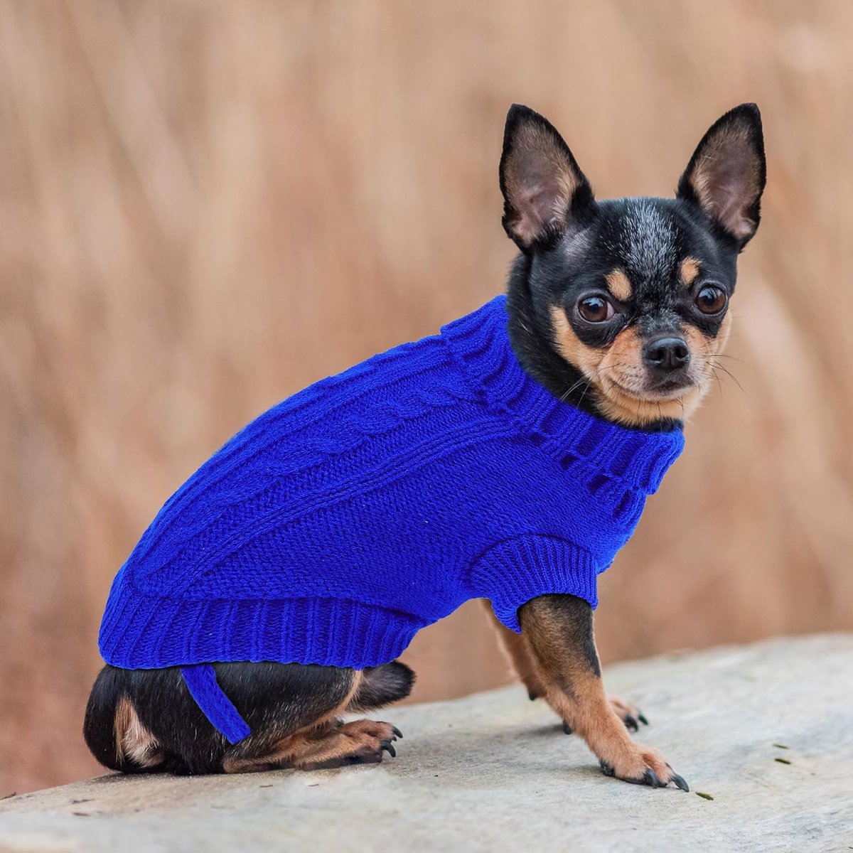 Dog Coat - Dog Sweater - Small Dog Sweater - Warm Dog Coat - Warm Puppy Sweater - Thick Knit Winter Sweater - Soft Roll Neck Sweater - Perfect for Small Dogs โ image 4