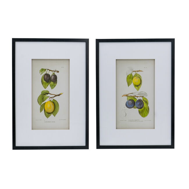 Set 2 Botanical Wall Decor 70cm