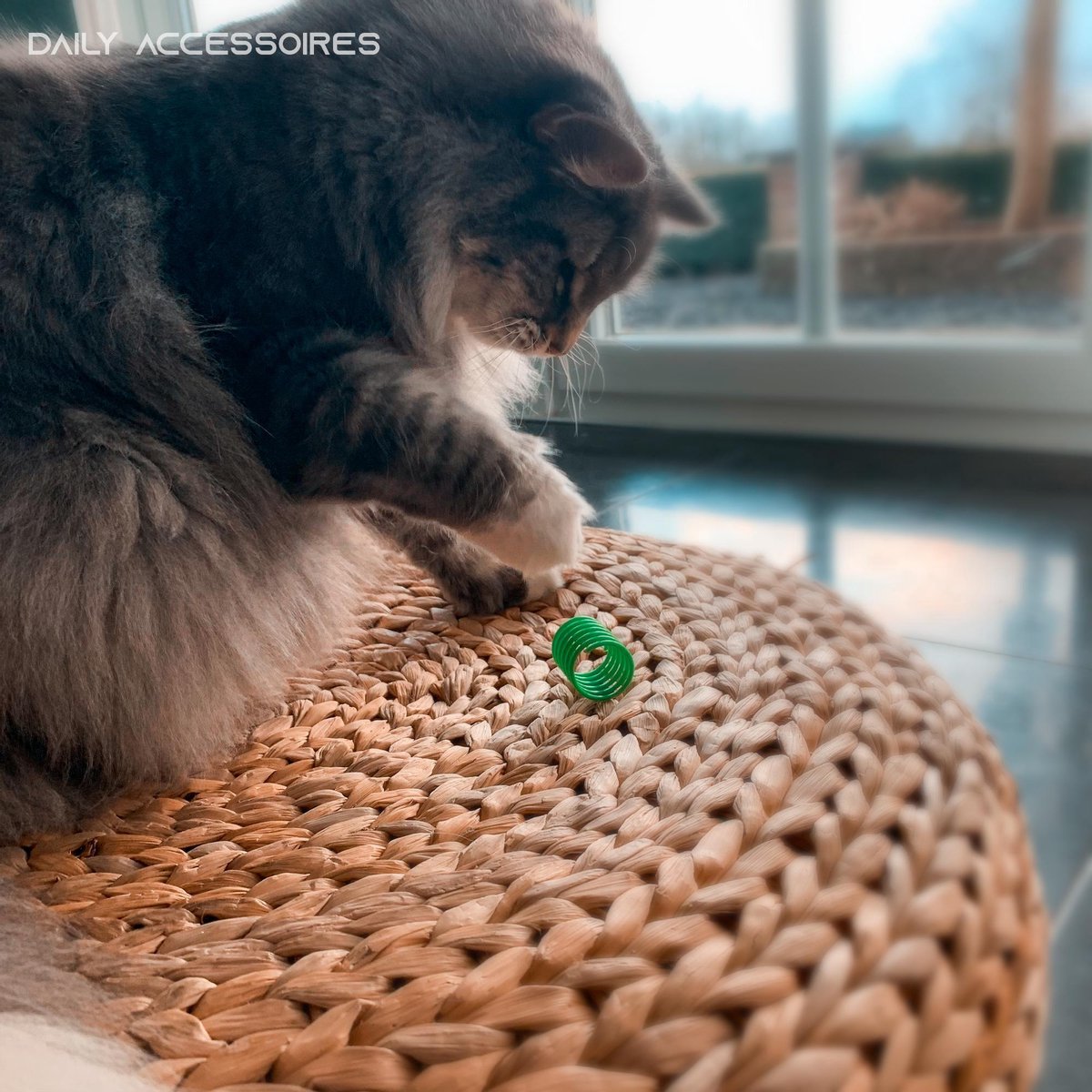 Cat Toys | Cat Springs | Cat Jumping Springs | Spring | Cat Spring | Set of 4 — image 2