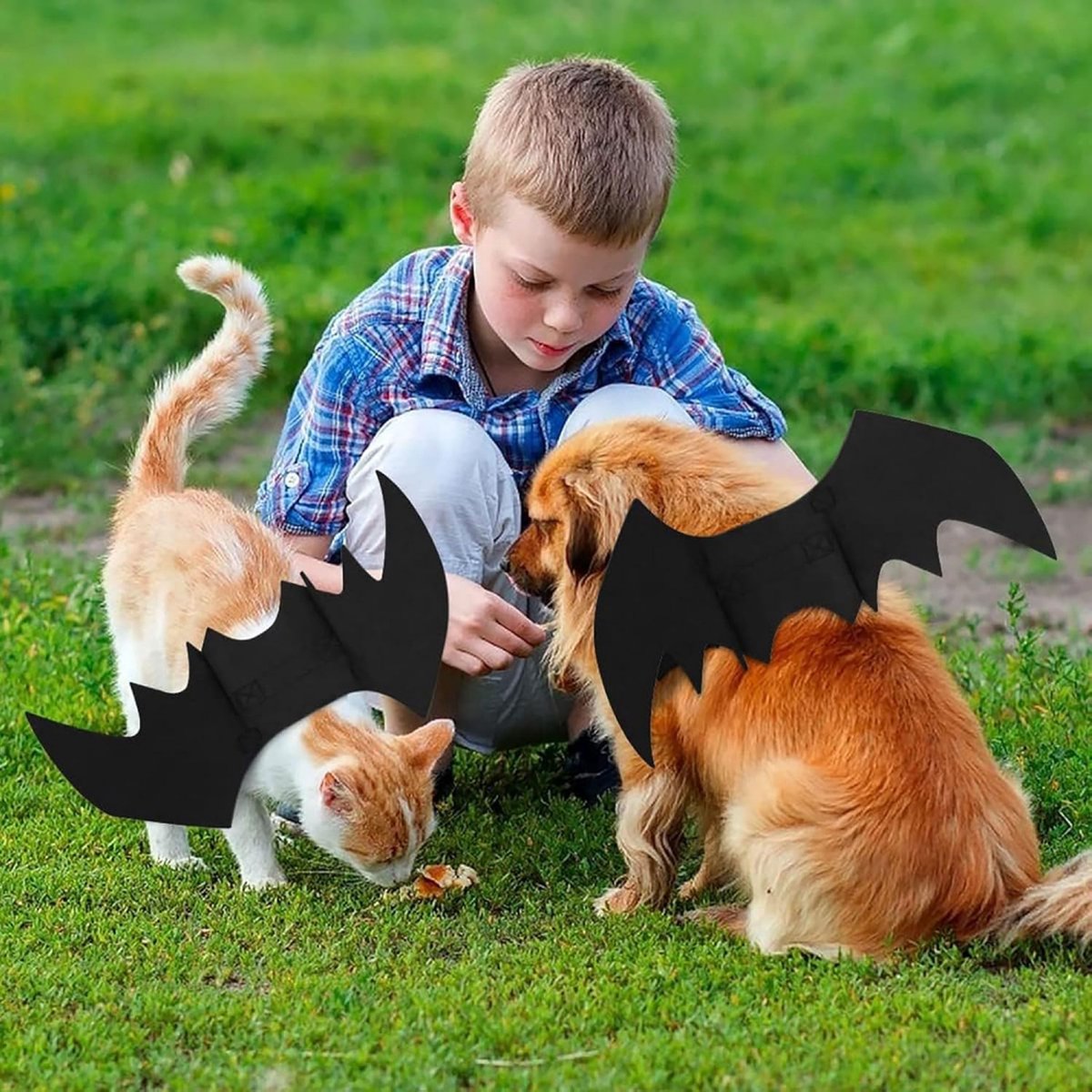 Dog Costume - Dog Halloween Costume With Pumpkin Bell - Clothing For Dogs - Cat Clothing - Funny Dog Suit - Halloween Bat Wings - Halloween Rug For Dog Or Cat — image 4