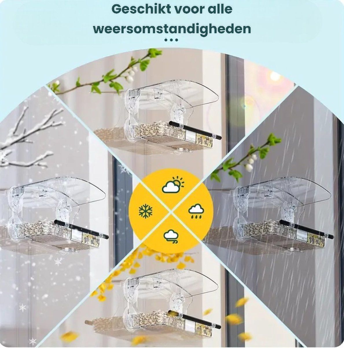 Window Birdhouse, Transparent, With Suction Cups, Feeding Station โ image 2
