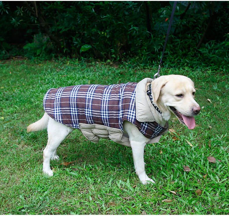 Reversible Winter Dog Coat with Plaid and Quilted Sides, Warm Cotton-Filled Vest for Outdoor Walks, Adjustable Velcro Straps for a Secure Fit (L, Beige) — image 4