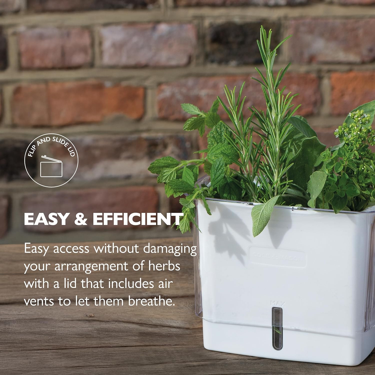 Fresh Herb Keeper - Acrylic Storage Container for Refrigerator - Storage for Herbs & Vegetables for Fridge - Fresh Herb Keeper โ image 3