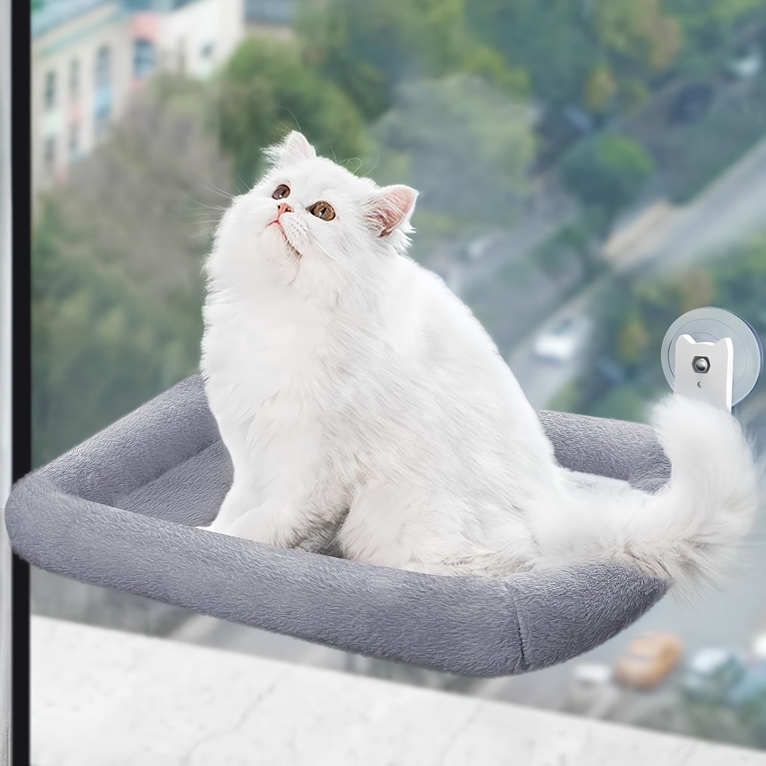 bird watching cat bed โ image 2