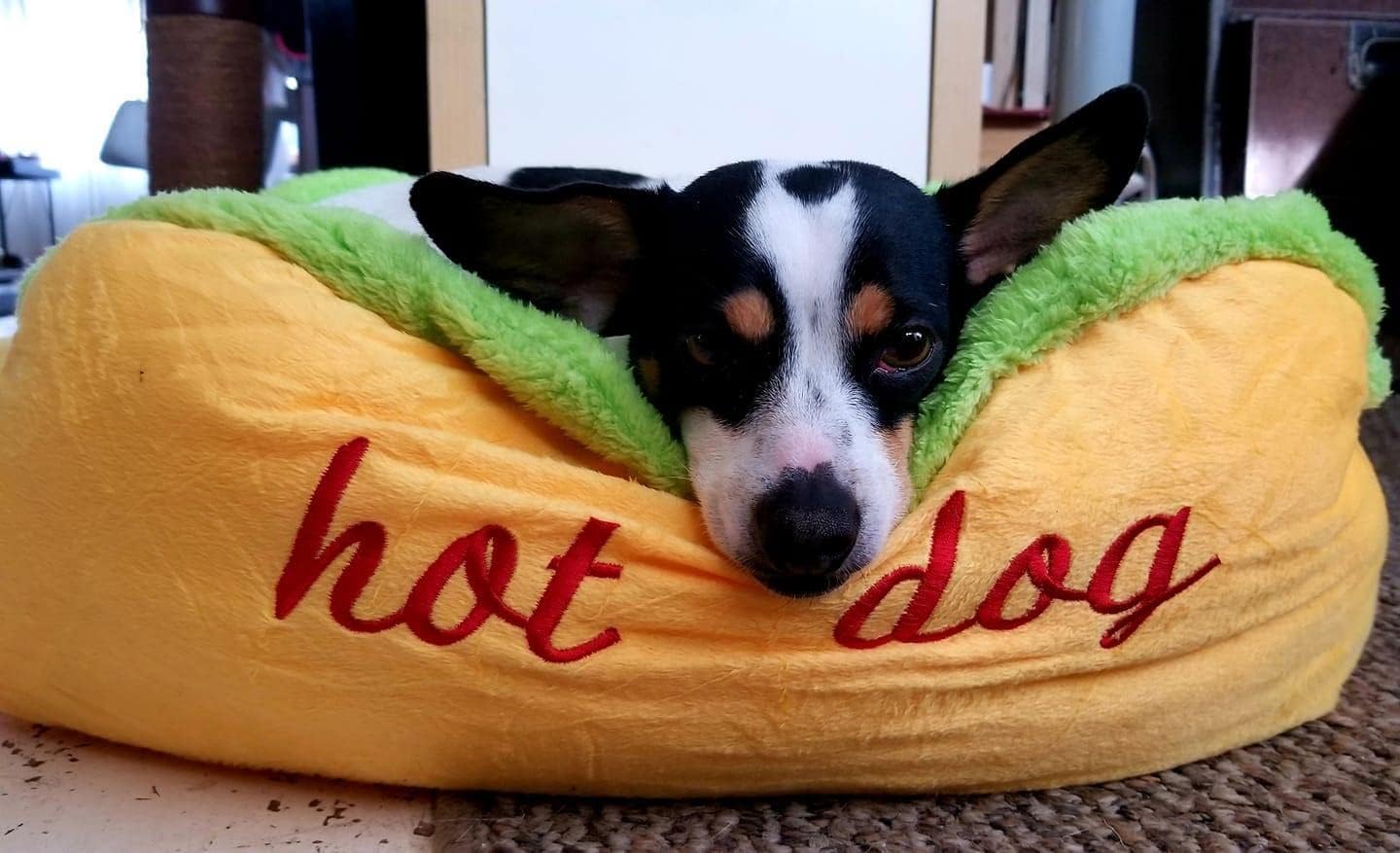Hotdog Design Dog Bed - Soft, Removable & Washable Pet Mat for Small Dogs — image 2