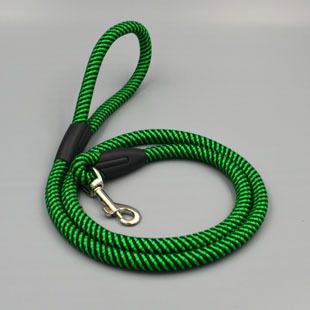 Pet Nylon Leash 120cm for Small Dogs Green 1.0cm thick, 120cm long — image 4