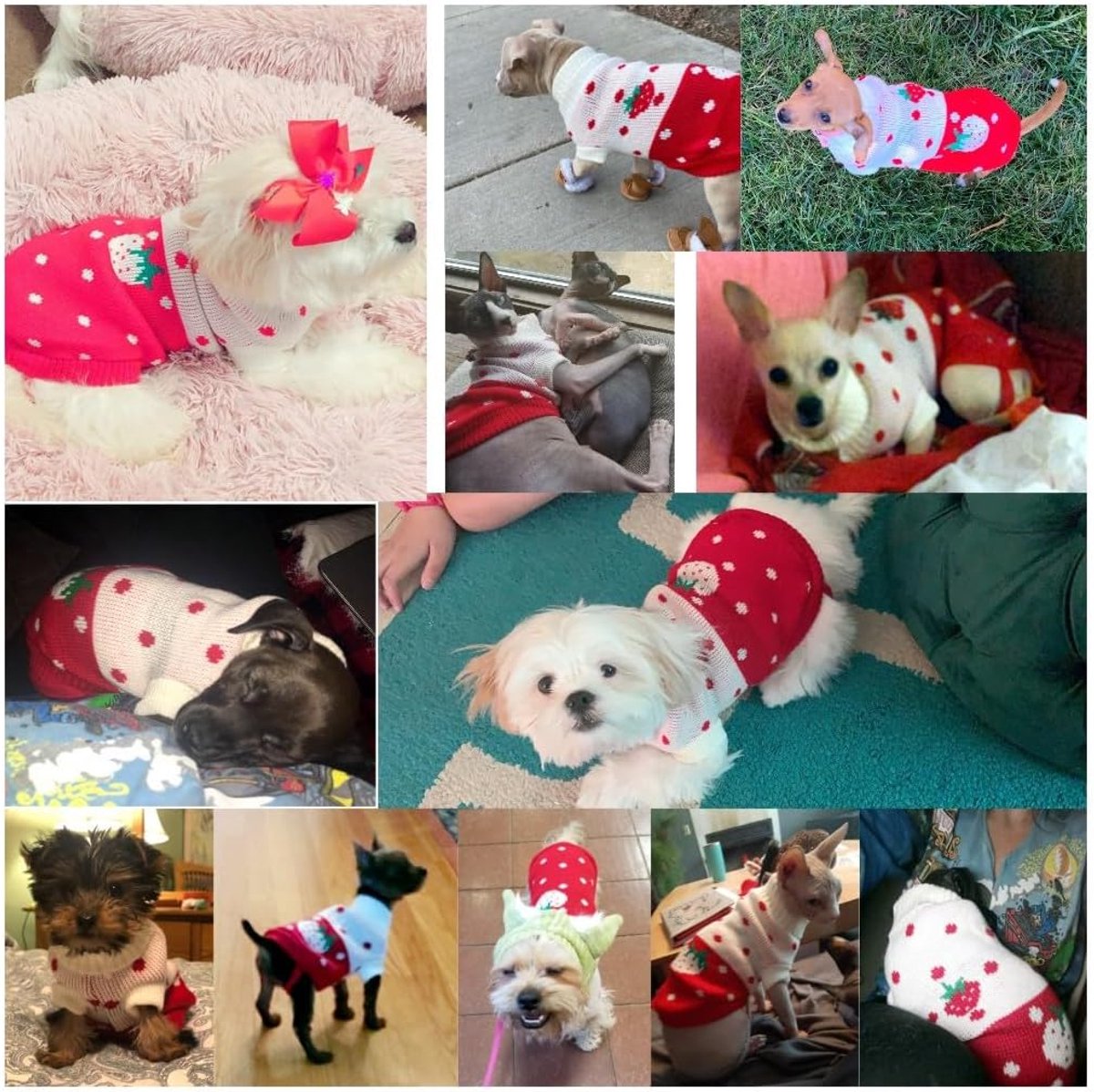 Dog Coat - Dog Sweater - Classic Turtleneck Knit Dog Sweater - Warm Winter Dog Clothes - Cute Strawberry Heart Pattern - Perfect for Small and Medium — image 5