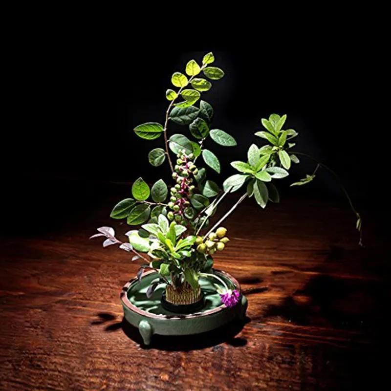 Round Flower Base Holder Spiky Frog Fixed Tool Floral Arrange For Ikebana Kenzan — image 4