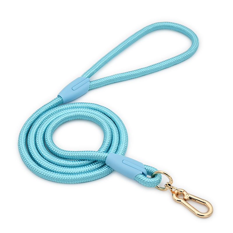 Blue Durable Nylon P-Collar Dog Training Set - Heavy Duty Leash & Martingale Collar (Size: S) โ image 3