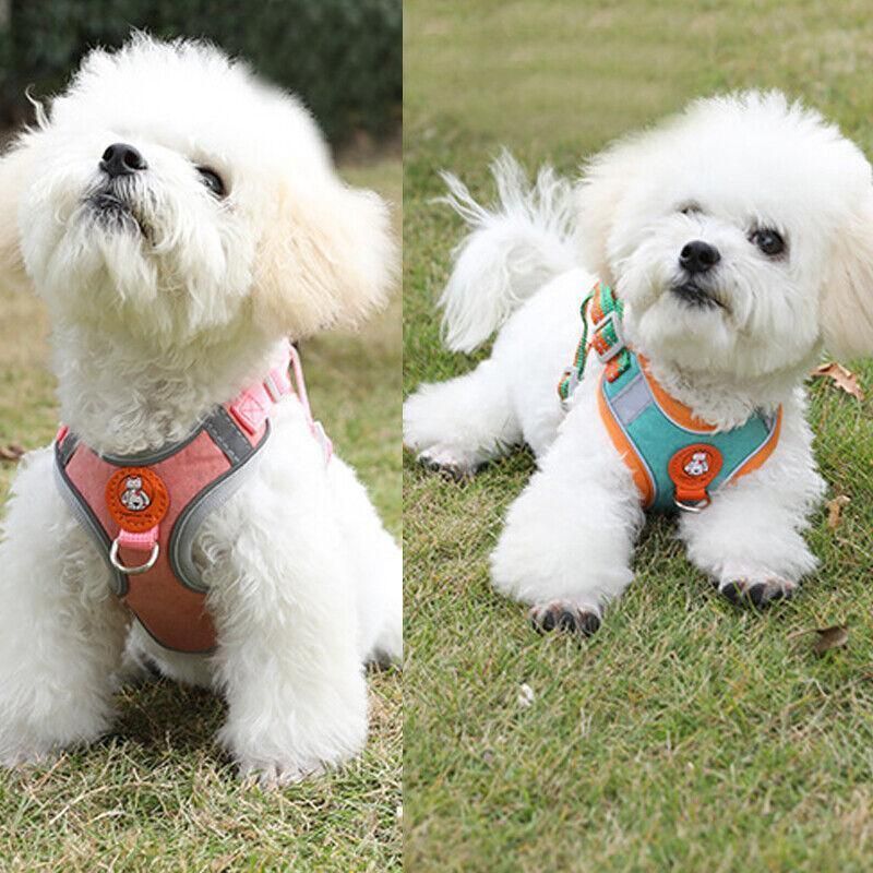 Dog Harness Cat Lead Puppy Leash Vest Mesh Breathe Adjustable Braces Small Pet Orange - M — image 5