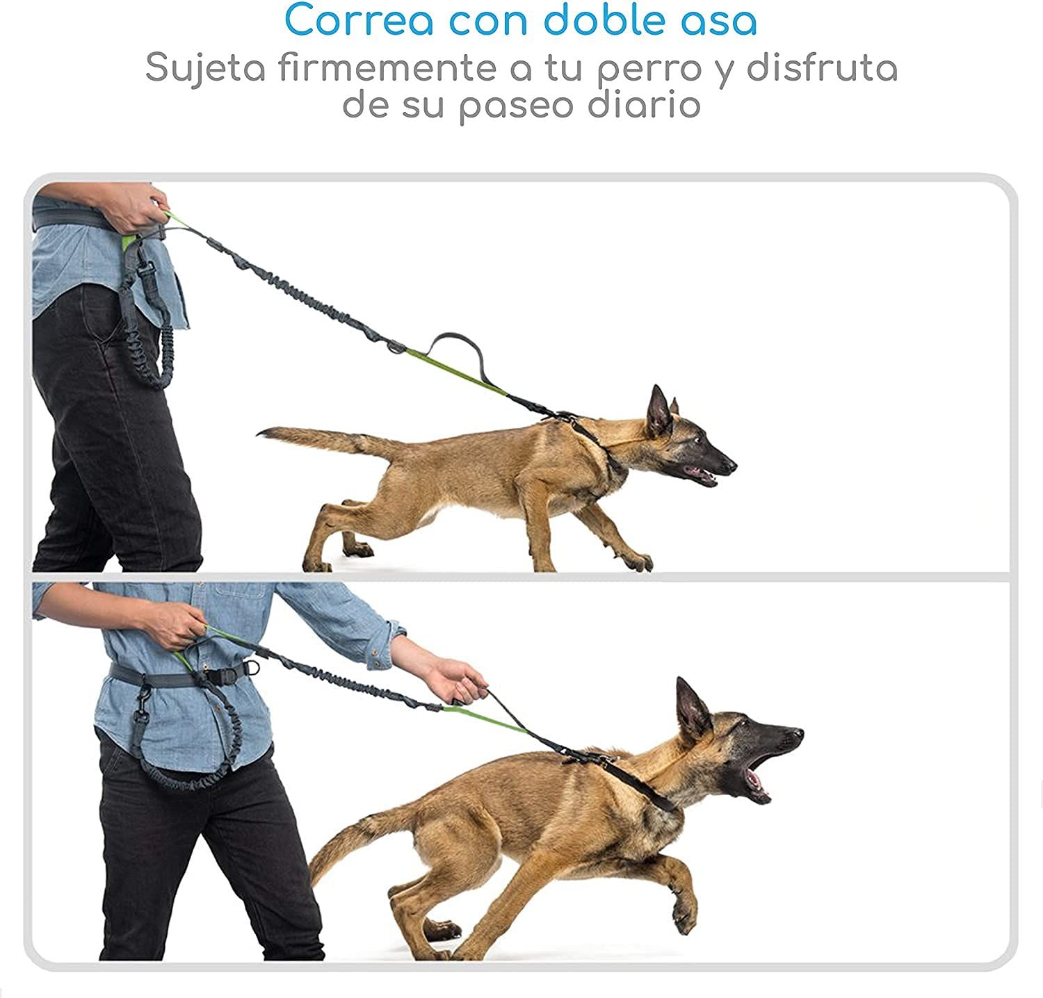 Dog Running Waist Harness with Leashes Handless Dog Leash with Adjustable Belt, Double Bungee Design - Perfect for Running โ image 5