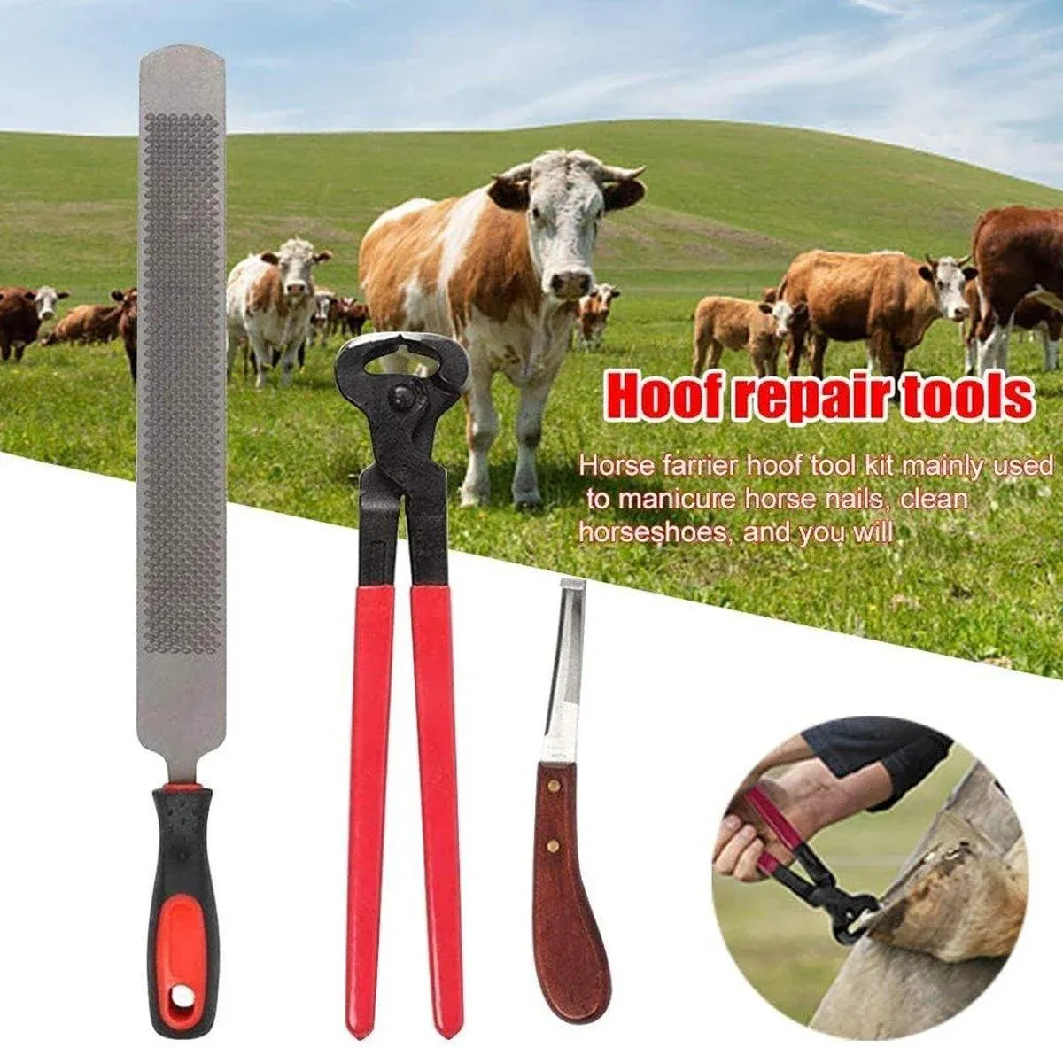 14 Inch Shoe Repair Tool Set Pliers Knife File Horseshoe Shear Hoof Trimming Kit — image 4