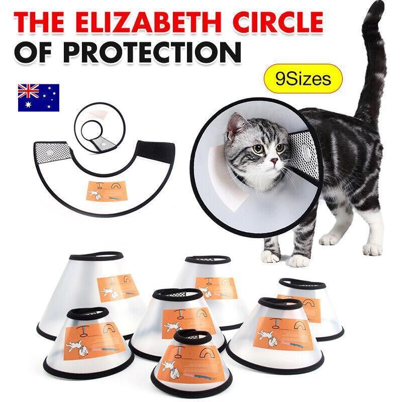 Pet Cat Dog Protective Cone Collar Elizabethan E Collar Wound Healing Recovery - 1 — image 2
