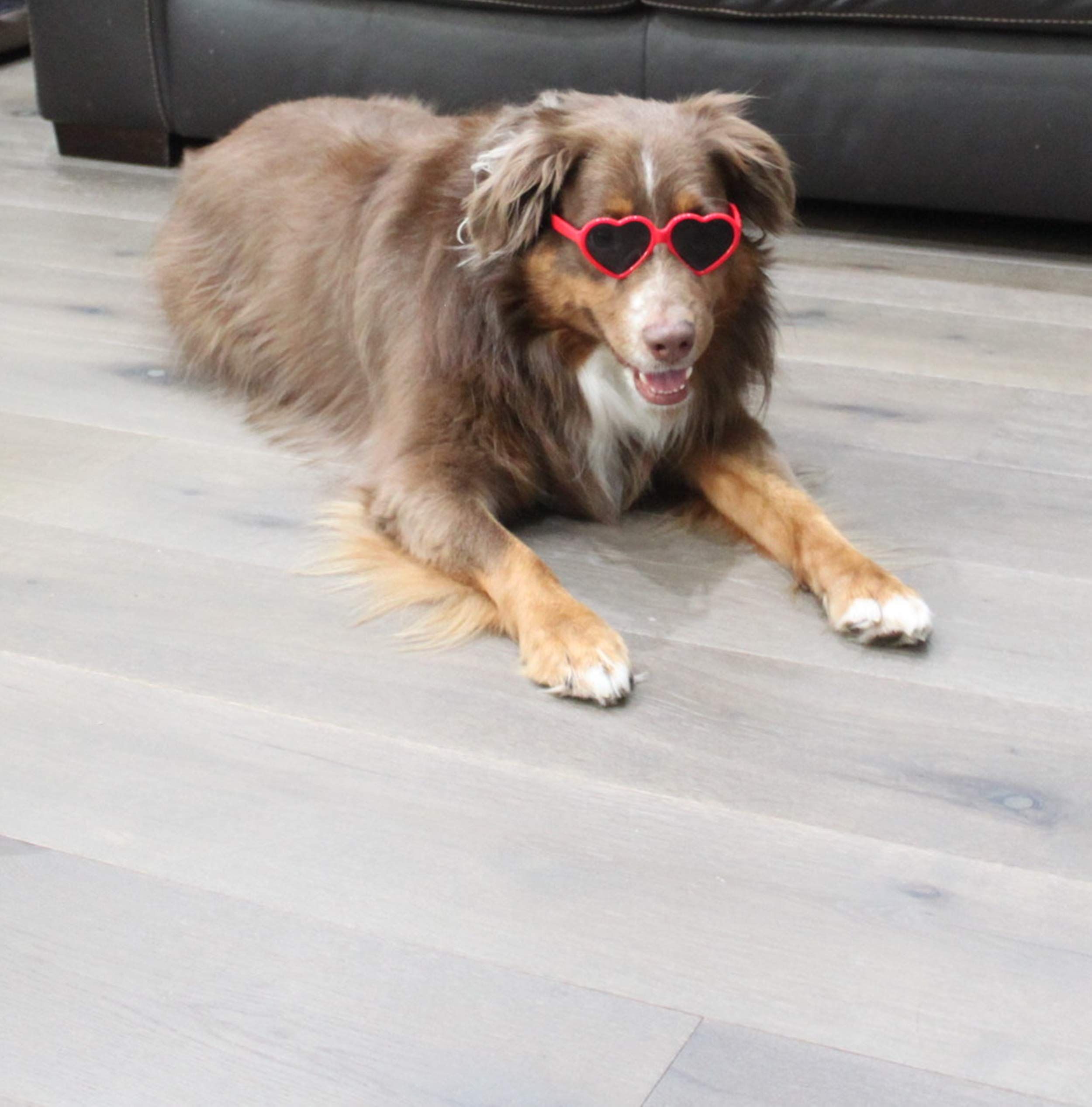 Dog Small Breed up to 15lbs Puppy Cat Pet Heart Tiny Sunglasses Photos Props Pets Party Decor Dog Sunglasses(Red) — image 2