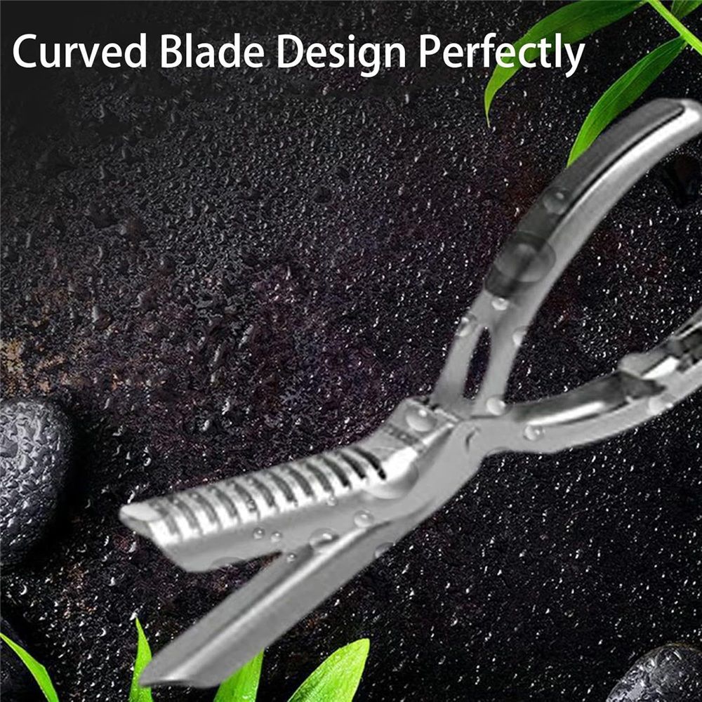 Stainless Steel Rib Skinner & Rib Membrane Remover for BBQ Enthusiasts and Chefs! With Arc Clamp & Non-Slip Grip, Effortlessly Remove Rib Membranes for Perfect — image 4