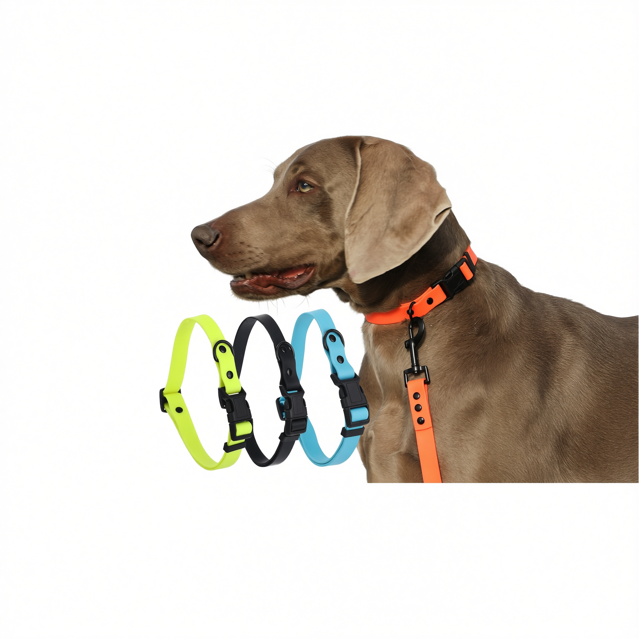 Dog Collar Roommate PVC Adjustable S M L Orange M size - recommended for dogs under 8-15kg โ image 2
