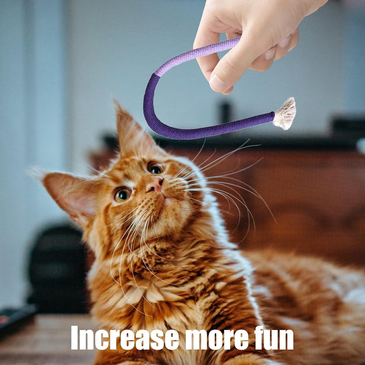 3 pieces - Cat toys - Cotton cat toy leash - play rope - Chew toys for cats - cat toys for teething - interactive toys - safe and soft cotton - dental care for โ image 4