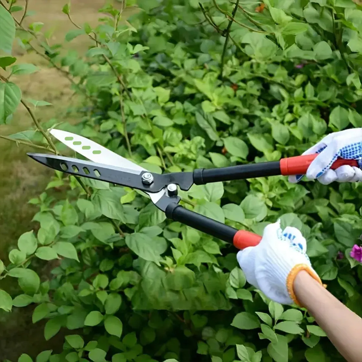 Garden Hedge Shears Pruning Branches Heavy Duty Sharp Blades Gardening Tool — image 4