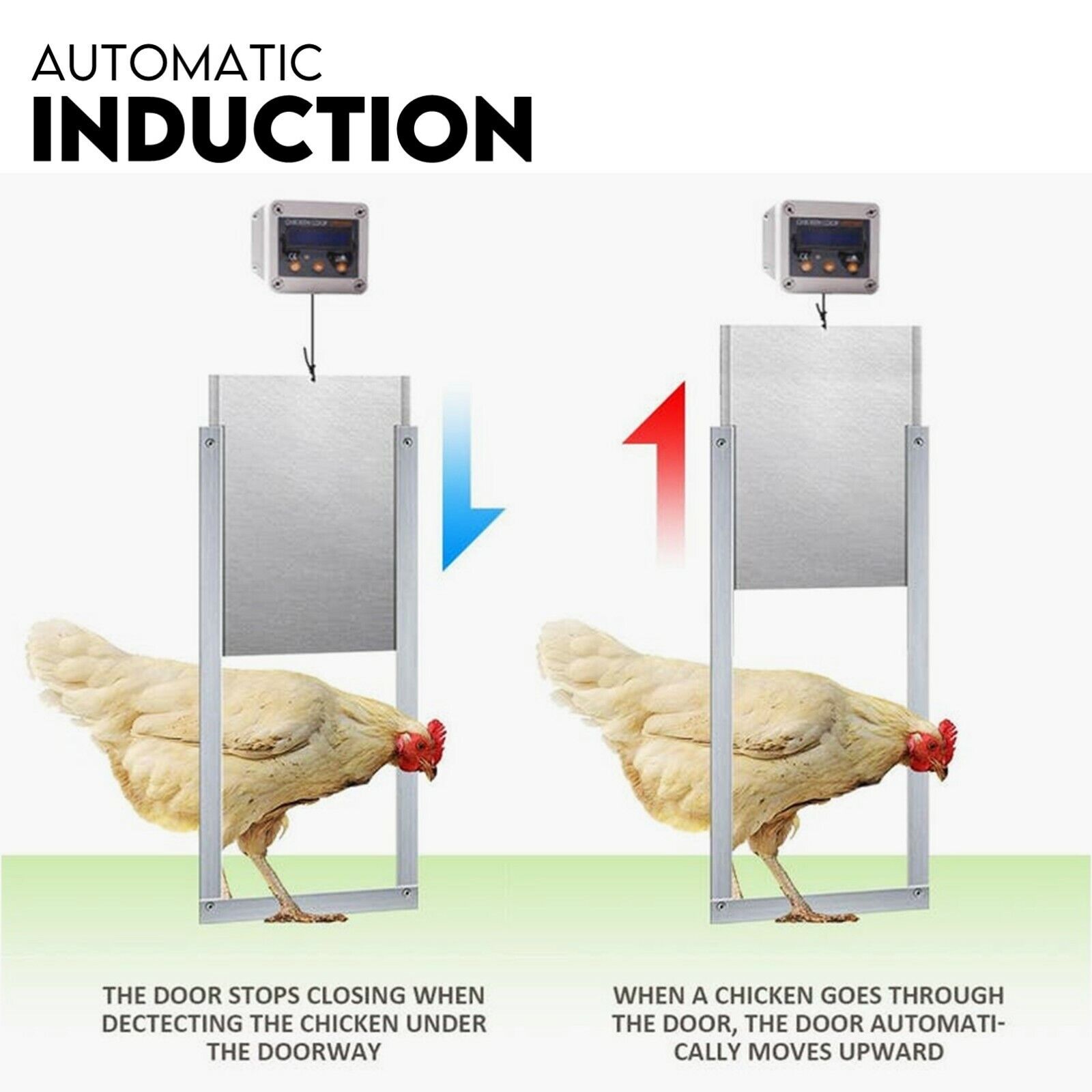 Chicken Coop Door with Digital LCD Screen to manage Timer and Sensor — image 4