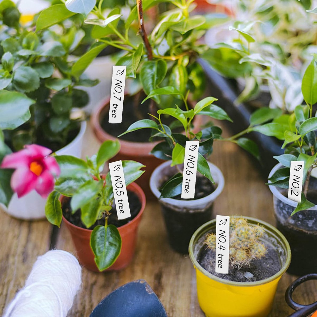 200 Pieces - Plant Labels - 2x10 CM - Plant Labels - Vegetable Labels - White - Plant Stake Tags - Nursery Stake Tags for Potted Plants - Plastic — image 2