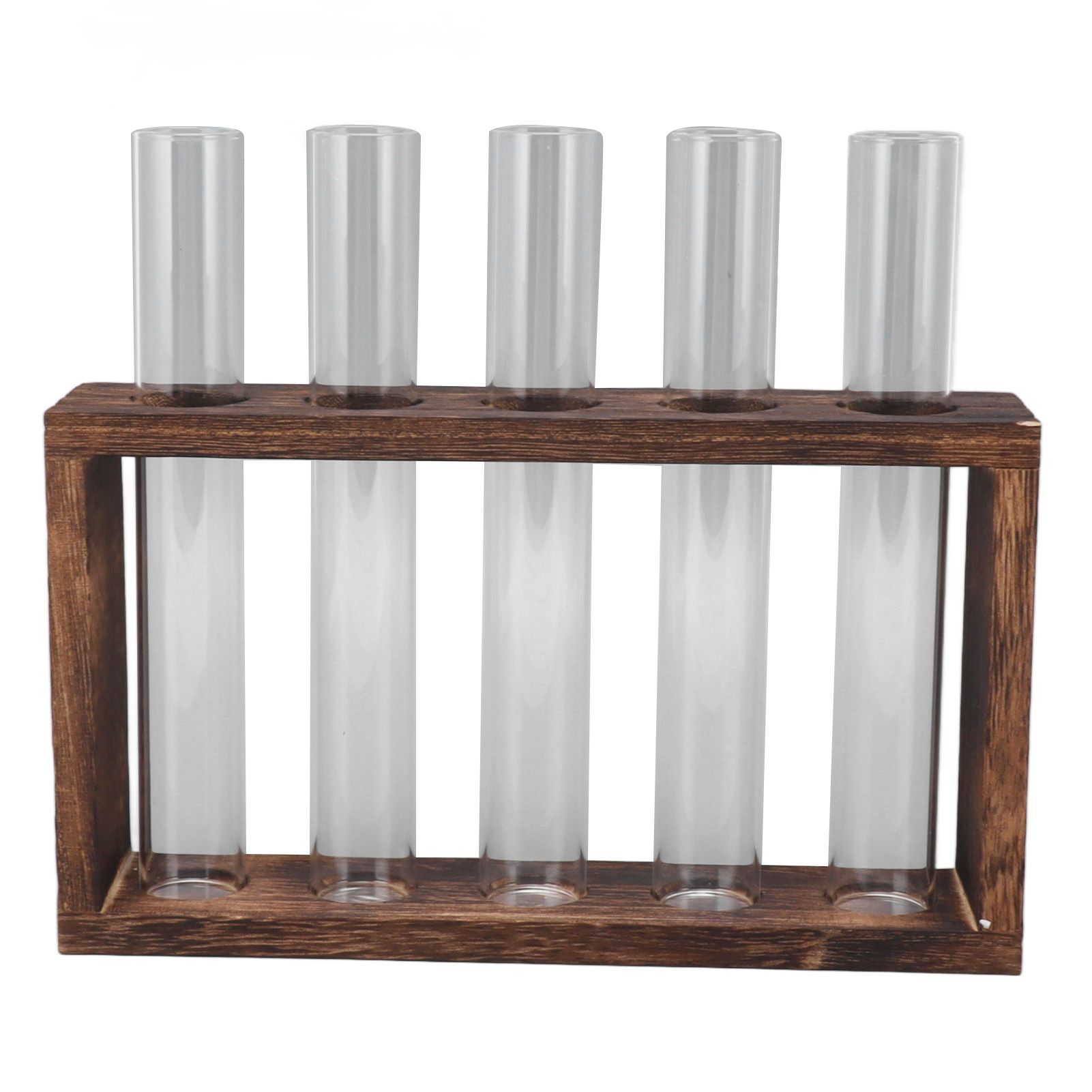 5 Test Tube Plant Terrarium Transparent Observe Growth Status Water Plant Holder with Wooden Stand for Herbs Carbon Color โ image 3