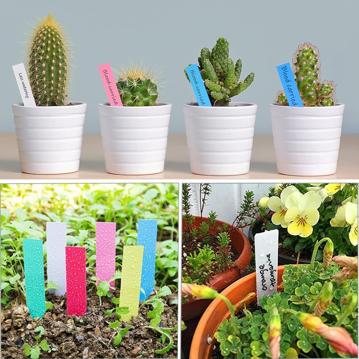 Petluno 500 pieces plant labels, plastic plant tags, white plant stakes, stake labels, weatherproof, garden labels with 2 black felt tip pens for outdoor — image 4