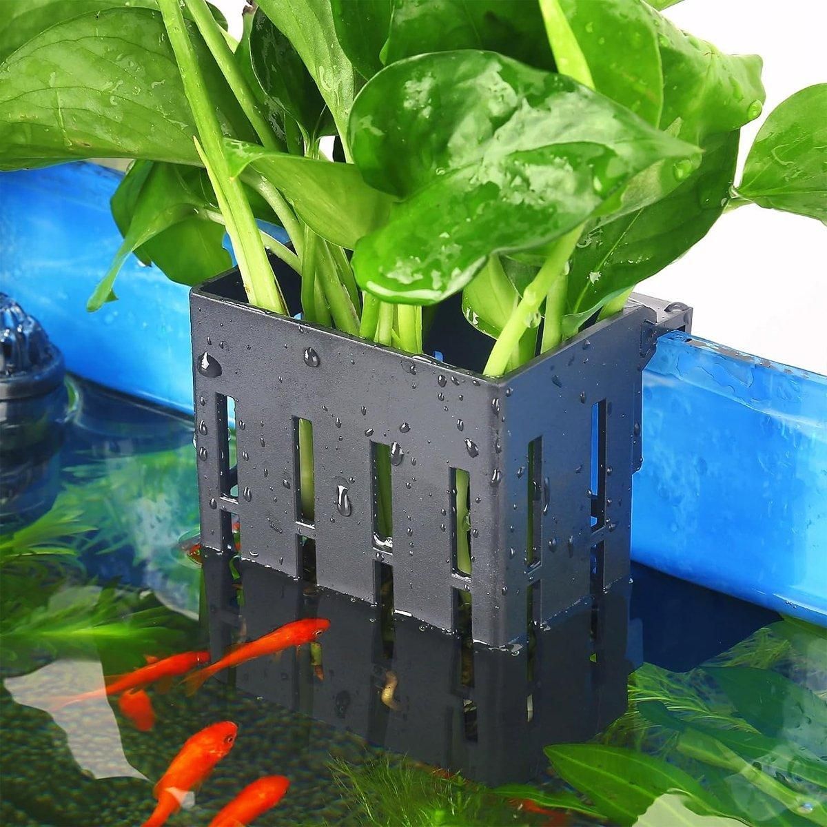 Hydroponic Plant Storage Rack Fish Tank Decoration Square Aquarium Basket Holder - White โ image 6