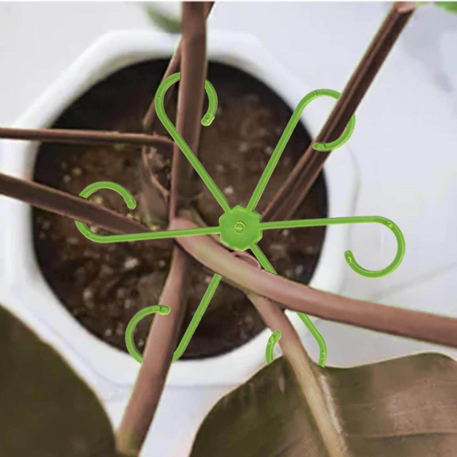 16 Pack Indoor Plant Stakes 4 Sizes 4 of Each Size Green Plant Supports for Tall Plants Monstera Plant Anchors Plant Fixing Hooks Suitable for Indoor Gardens — image 3