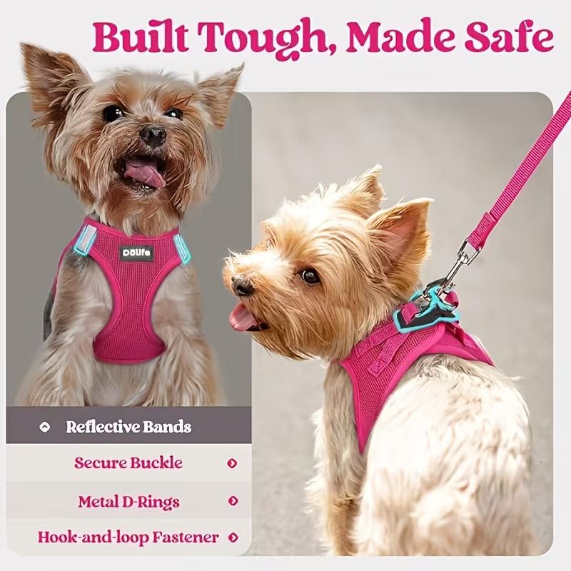 Blue Breathable Dog Harness and Leash Set - Adjustable Reflective Pet Vest with Swivel Clip(Size: L) — image 5