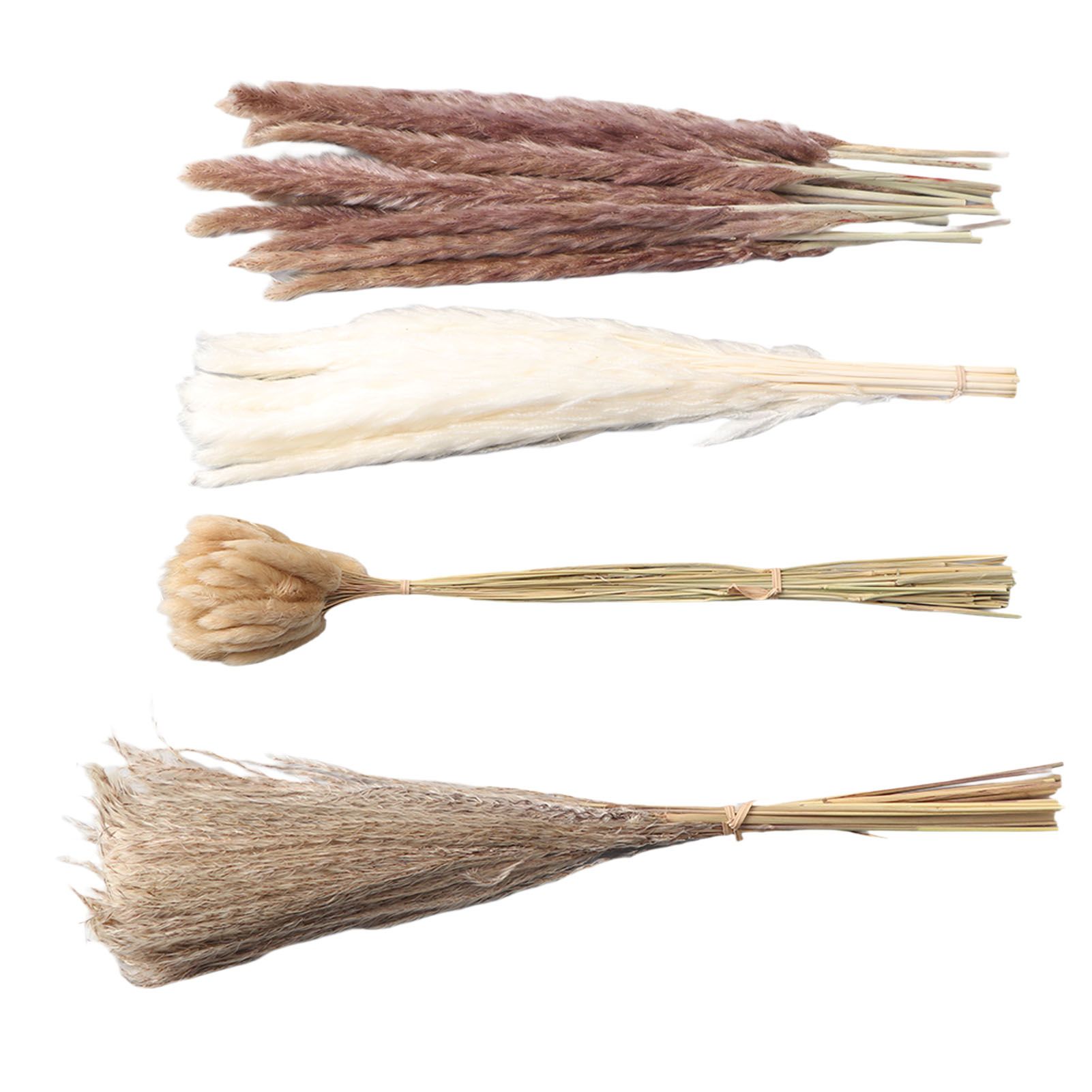 Natural Dried Pampas Grass Fluffy 15PCS White Pampas 15PCS Brown Pampas 50PCS Bunny Tail Grass 20PCS Reed Grass for Home Wedding Decor โ image 5