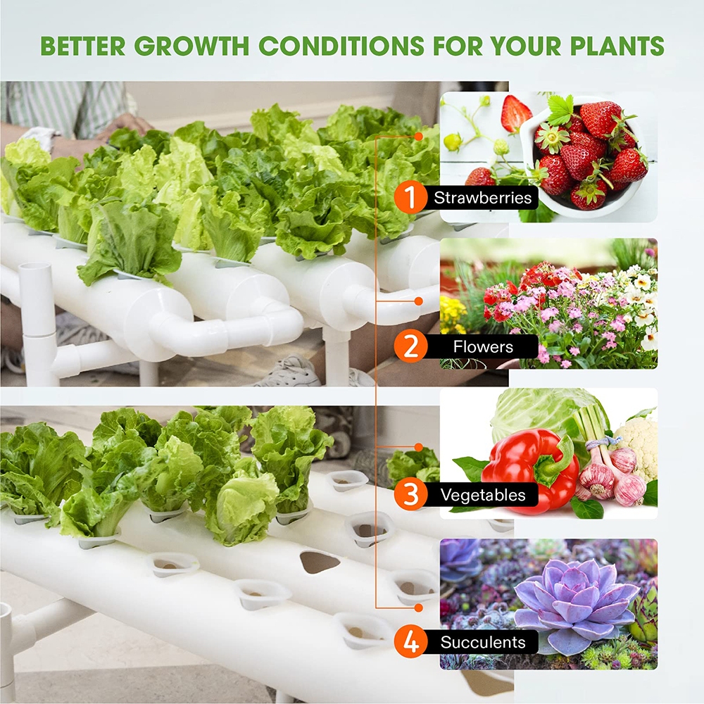 36 Sites Hydroponic Grow Tool Kits Vegetable Garden System 220V Water Pump โ image 5
