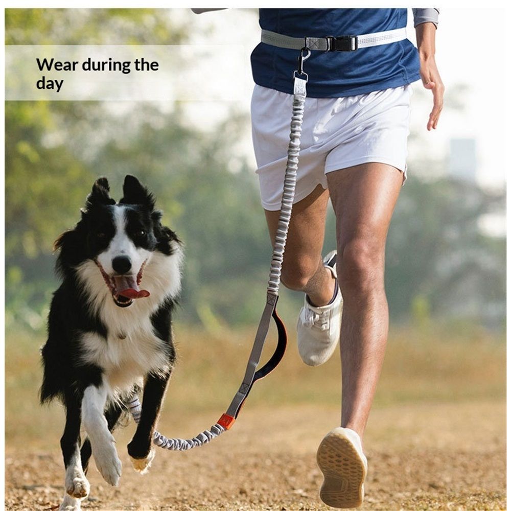 Tuff Mutt Hands Free Dog Leash for Walking Running Hiking, Waist Leash with Bungee, Adjustable Belt, Reflective Double Handle Design for Large Medium Dogs Red โ image 2