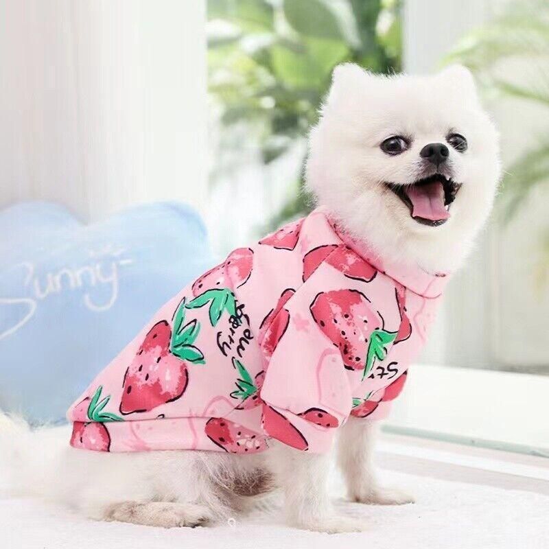S Size Cute Pet Dog Warm Jumper Sweater Clothes Cat Knitwear Knitted Coats Winter - Green Lion โ image 6