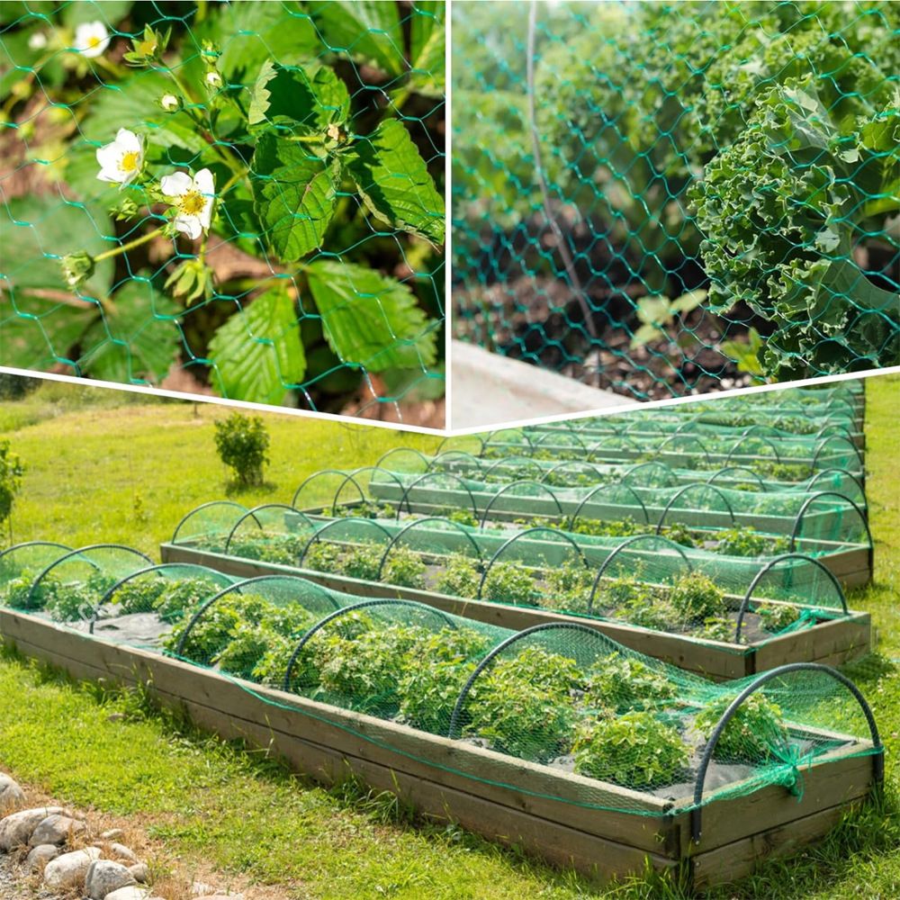 Bird Netting for Garden (2×10m) Garden Netting Pest Barrier,Cicada Netting Protect Fruit Trees Blueberry Bushes Vegetable Plant — image 5