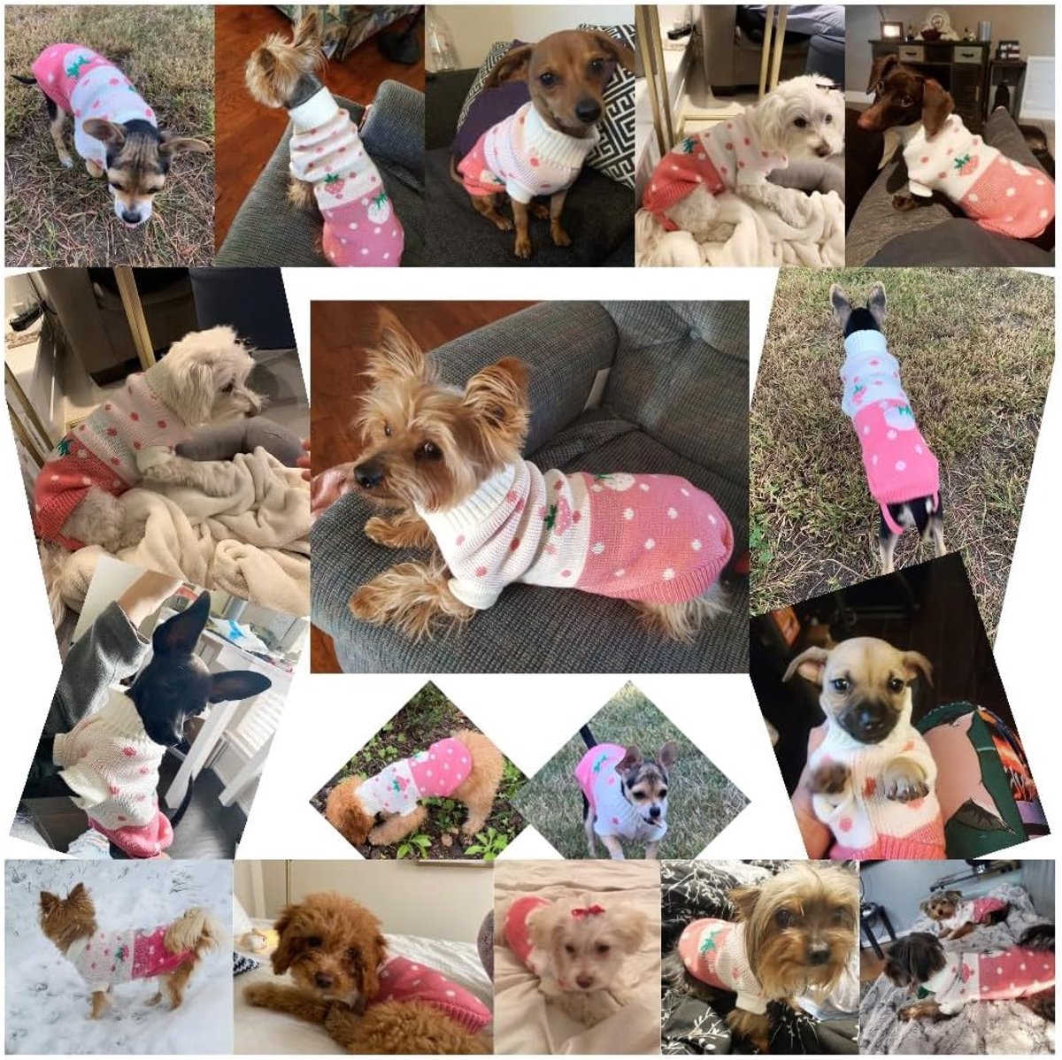 Dog Coat - Dog Sweater - Dog Pullover - Classic Turtleneck Knit Dog Sweater - Warm Winter Dog Clothes - Cute Strawberry Heart Pattern - Perfect for — image 5
