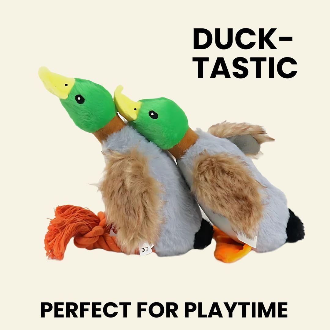 2-Pack Plush Duck Dog Toys with Squeakers, Crinkle Wings for Small Medium Dogs, Interactive Dog Toy, Durable Dog Toys to Keep โ image 3