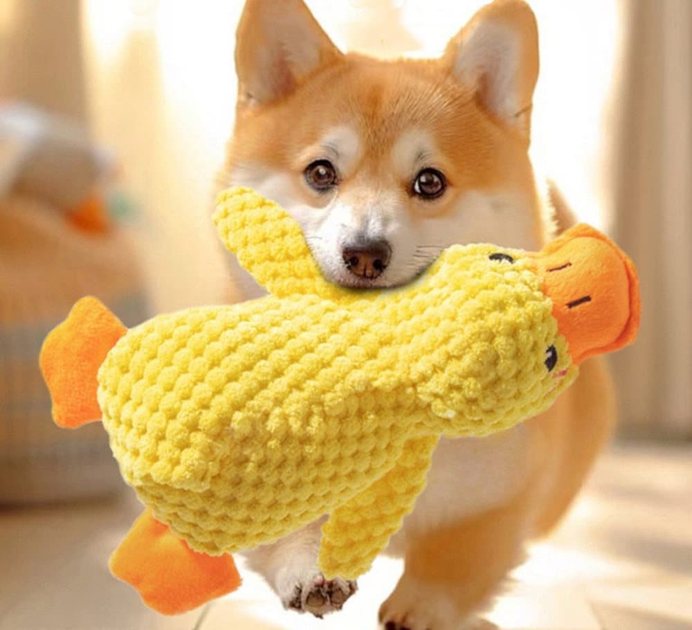 1 Calming Dog Toy Plush Duck with Squeak for Small Dogs, S — image 5