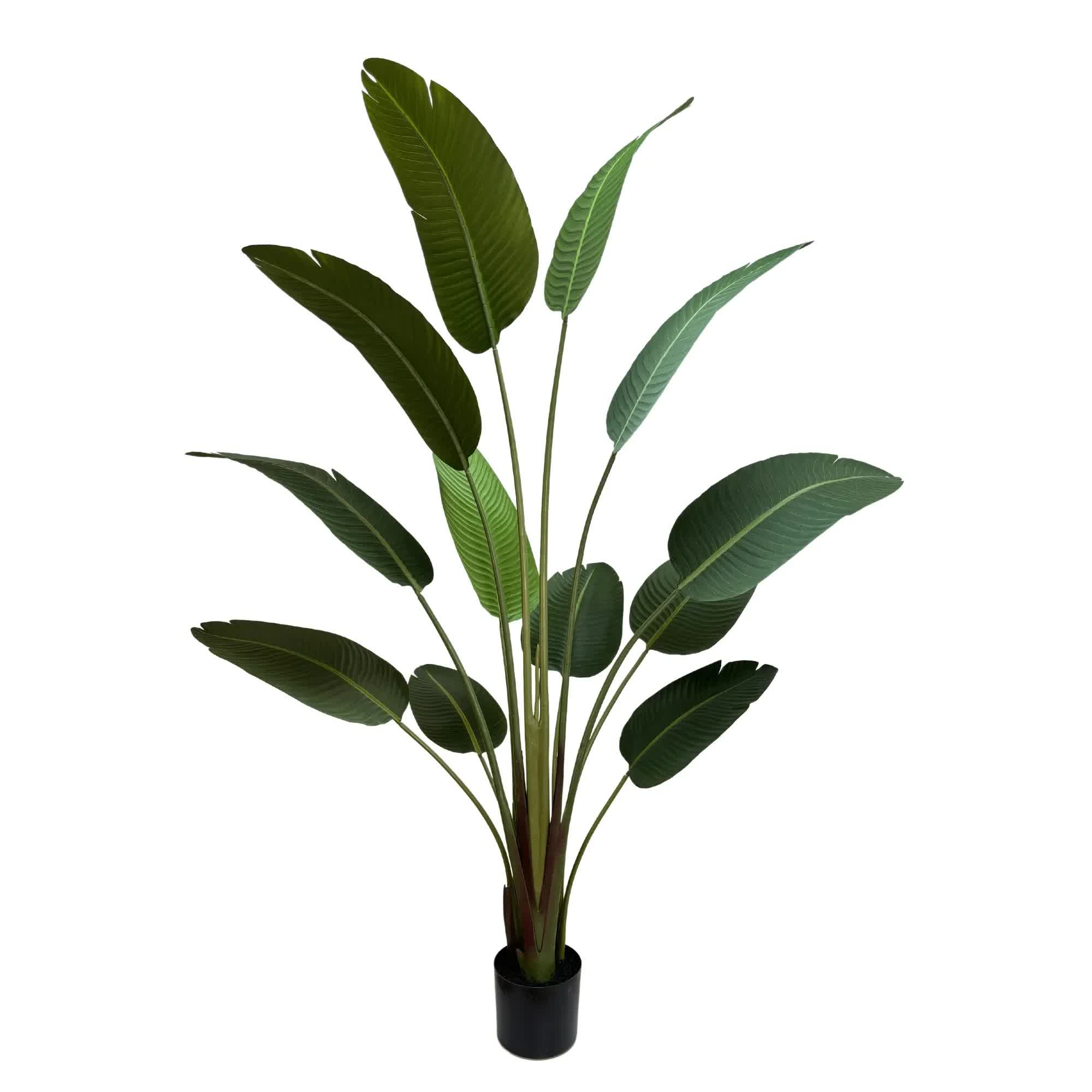 Grand Artificial Potted Travellers Palm (Banana Palm Tree) 180cm โ image 2