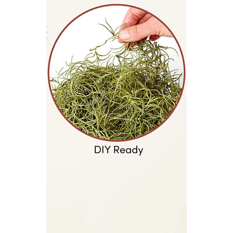 Succulents Spanish Moss, Fake Moss for Artificial Hanging Plants & Moss for Plants - (3pck) โ image 2