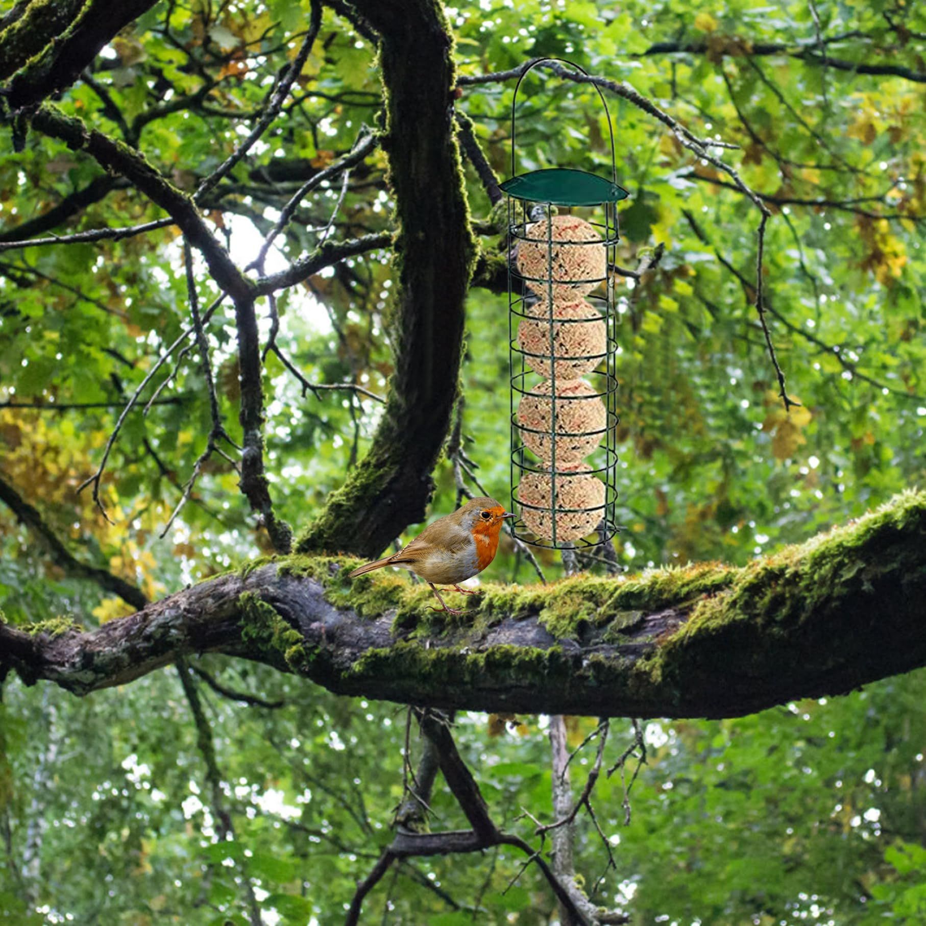 Suet Bird Feeders for Outdoors Hanging Rustproof Metal Suet Holder Cylinder Bird Feeder Portable Bird Feeders for Garden — image 4