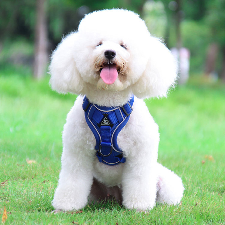 Blue Reflective Mesh Dog Harness and Leash Set - Adjustable No-Pull Vest - M โ image 2