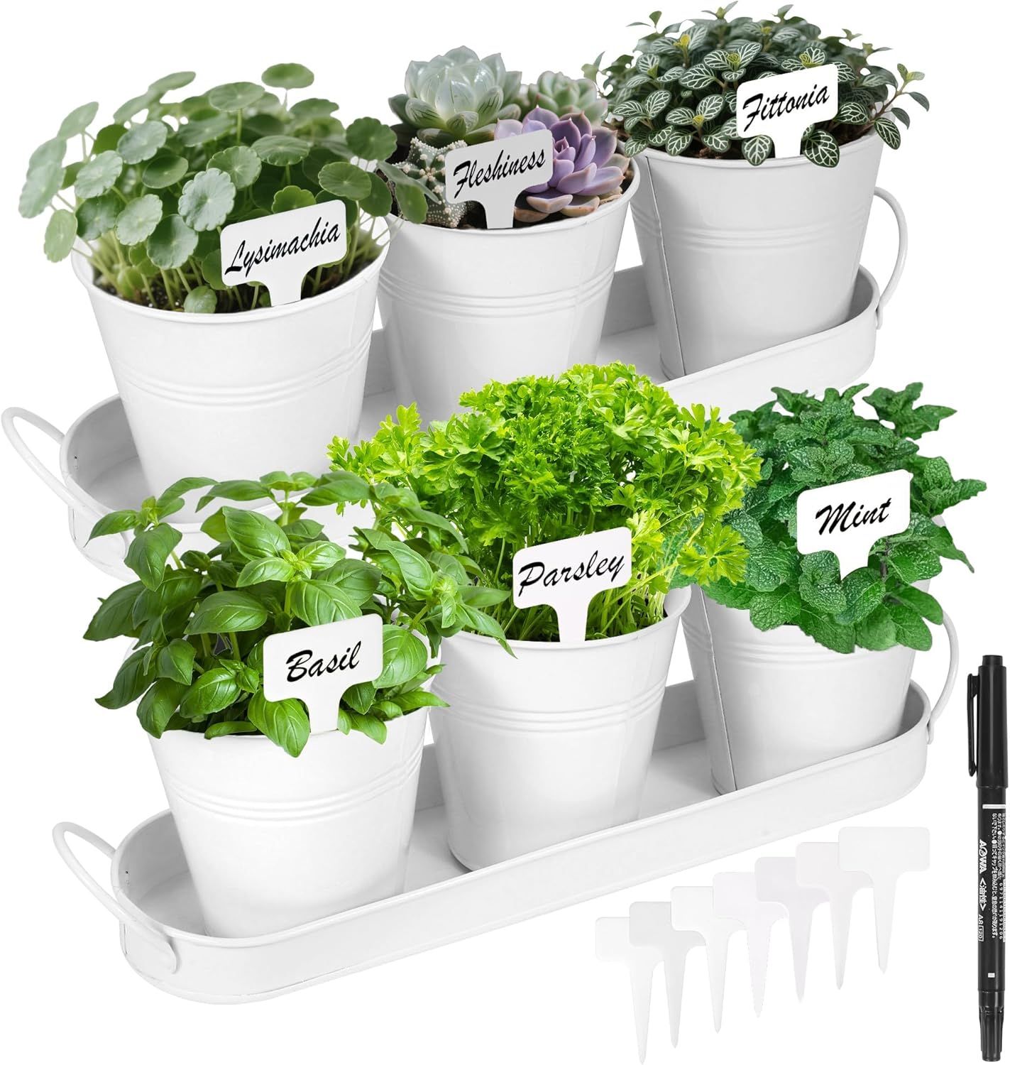 Herb Garden Planter Indoor Kit – 6 Metal Pots with 2 Trays for Windowsill & Kitchen Counter – Modern Decorative Indoor Planters for Herbs, Succulents & Small