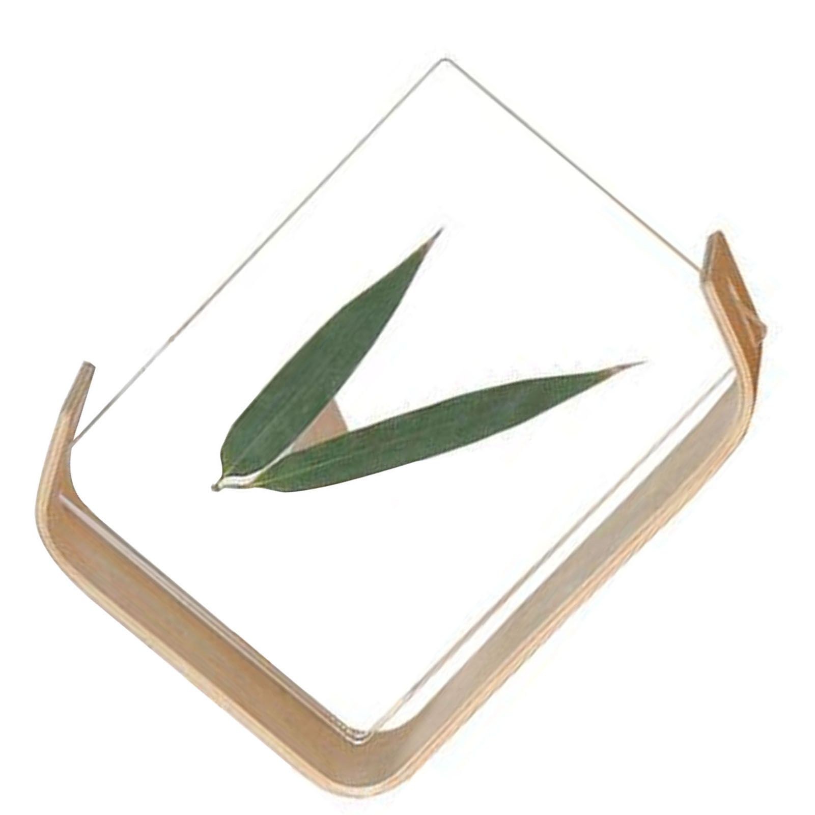 Desktop Plant Specimen Frame Wooden Acrylic Simple Modern Photo Frame Desktop Ornament Home Decoration — image 6