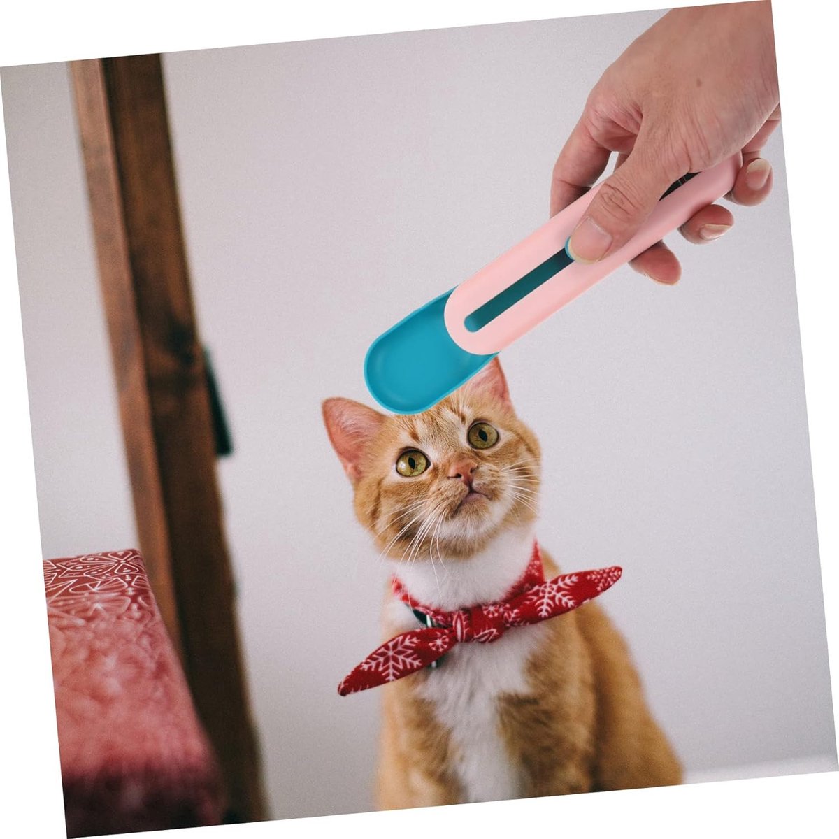 Cat Treats Spoon - 2 Pieces - Cat Food Bowl - Feeding Spoon - Cat Bar Spoon - Cat Treats Spoon - Snack Spoon for Pets - Feeder Dispenser - Cat Treats Spoon — image 4