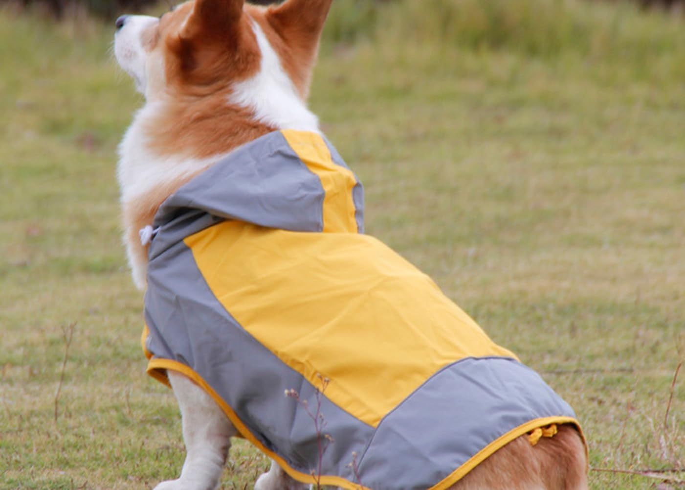 Outdoor Pet Waterproof Glisten Rain Ponch Raincoat Doggie Hooded Rain Gear Jumpsuit for Small Medium Large Dog Yellow 6 โ image 2